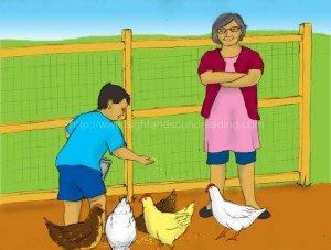 boy feeding the chickens: homeschoolers, word ladders, phonics websites, reading help for sensory processing disorder, education, free, teaching children, phonics lessons, tutor for reading,