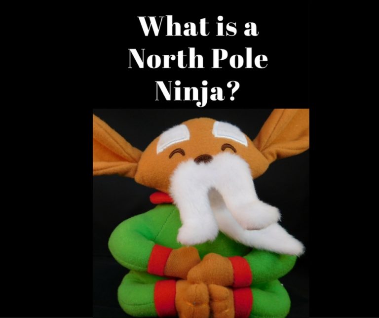 What is a North Pole Ninja?