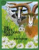 The Three Billy Goats Gruff (Paul Galdone Classics)