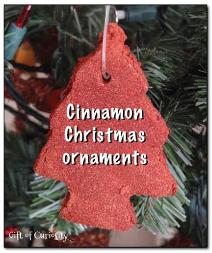 Cinnamon Christmas Ornaments