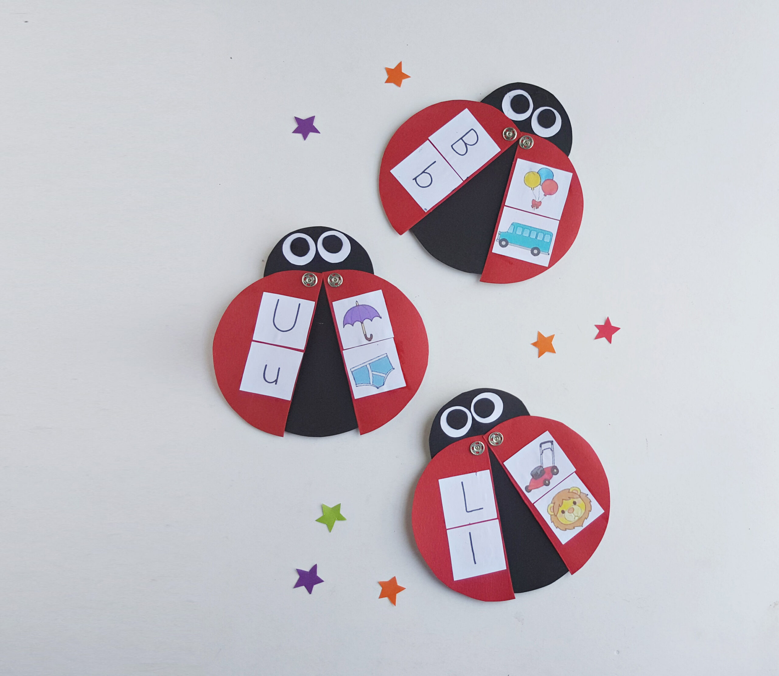 Ladybug Learning Activity Steps