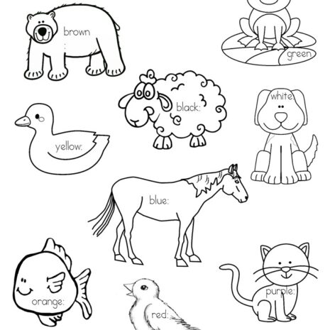 Activities for Brown Bear Brown Bear book for Kindergarten