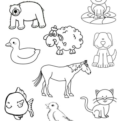 Activities for Brown Bear Brown Bear book for Kindergarten