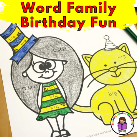 Word Family Birthday Fun!