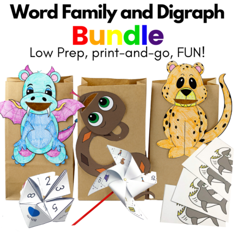 Wordfamily-digraph-bundle
