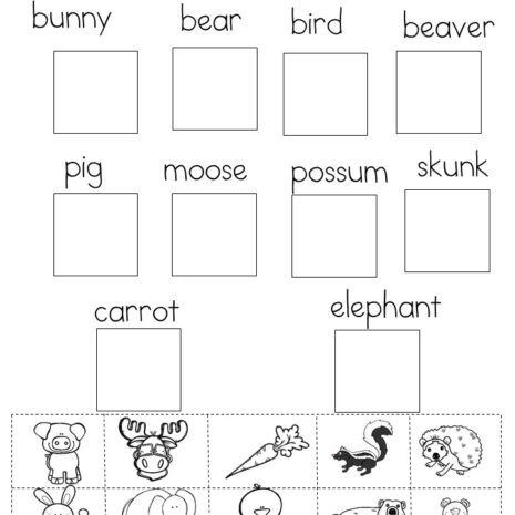 It's Not Easy Being a Bunny printable activities