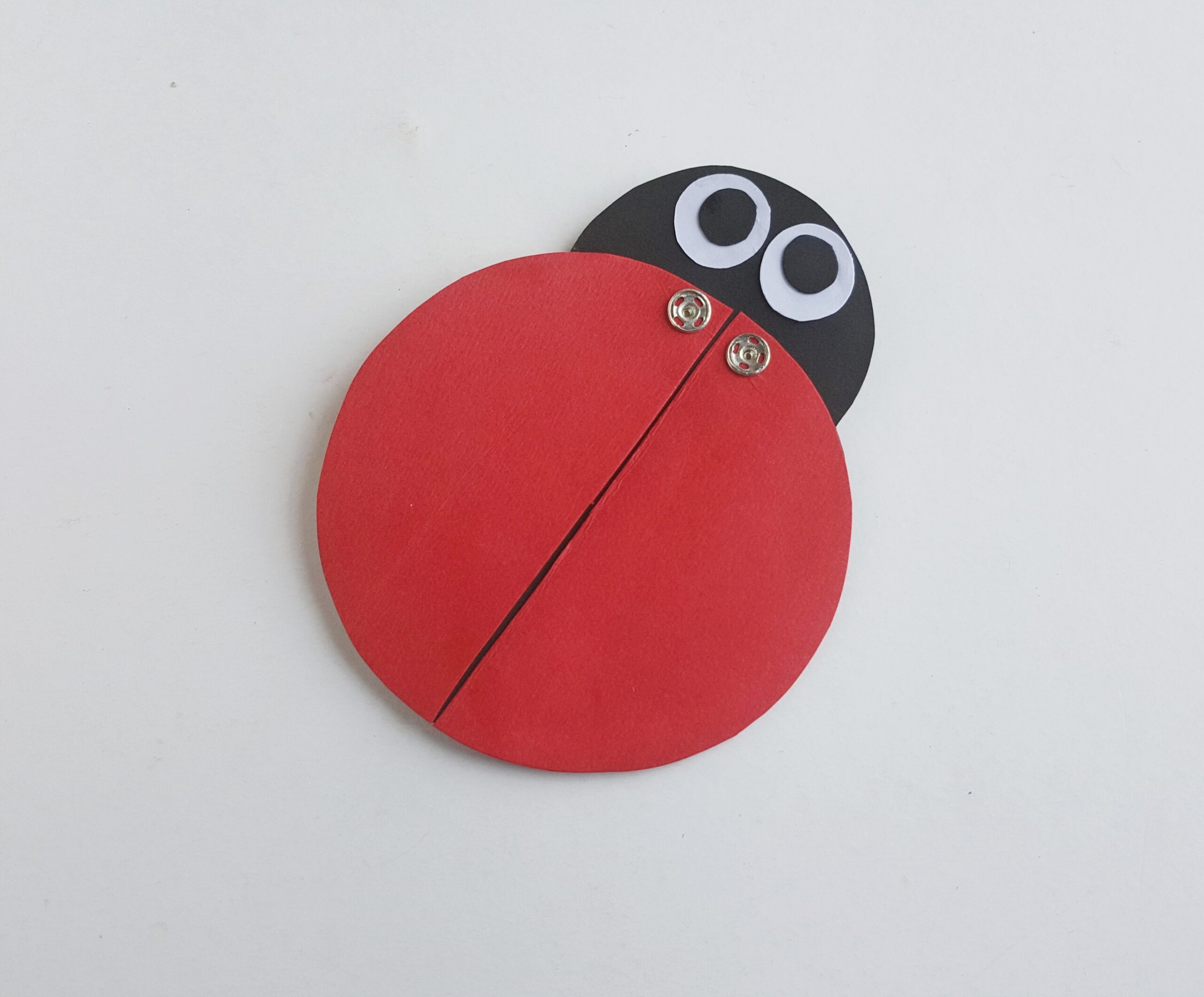 Ladybug Learning Activity Steps