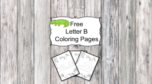 Letter Z Coloring Pages -Free letter Coloring Pages for Preschool or Kindergarten