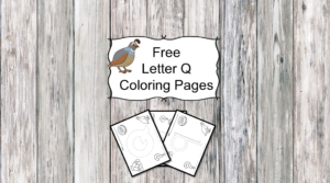 Letter Q Coloring Pages -Free letter Coloring Pages for Preschool or Kindergarten