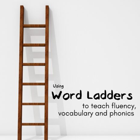 word-ladder-manual-300dpi